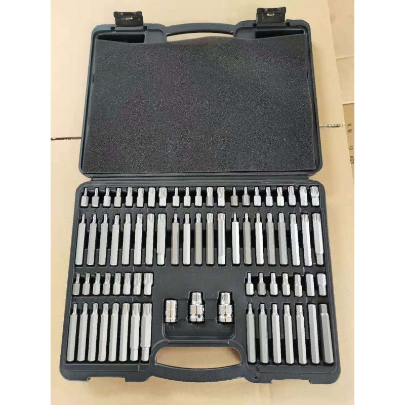 Sada bitov Torx/Imbus/Spline/Ribe s adaptérmi na račňu 75dielna